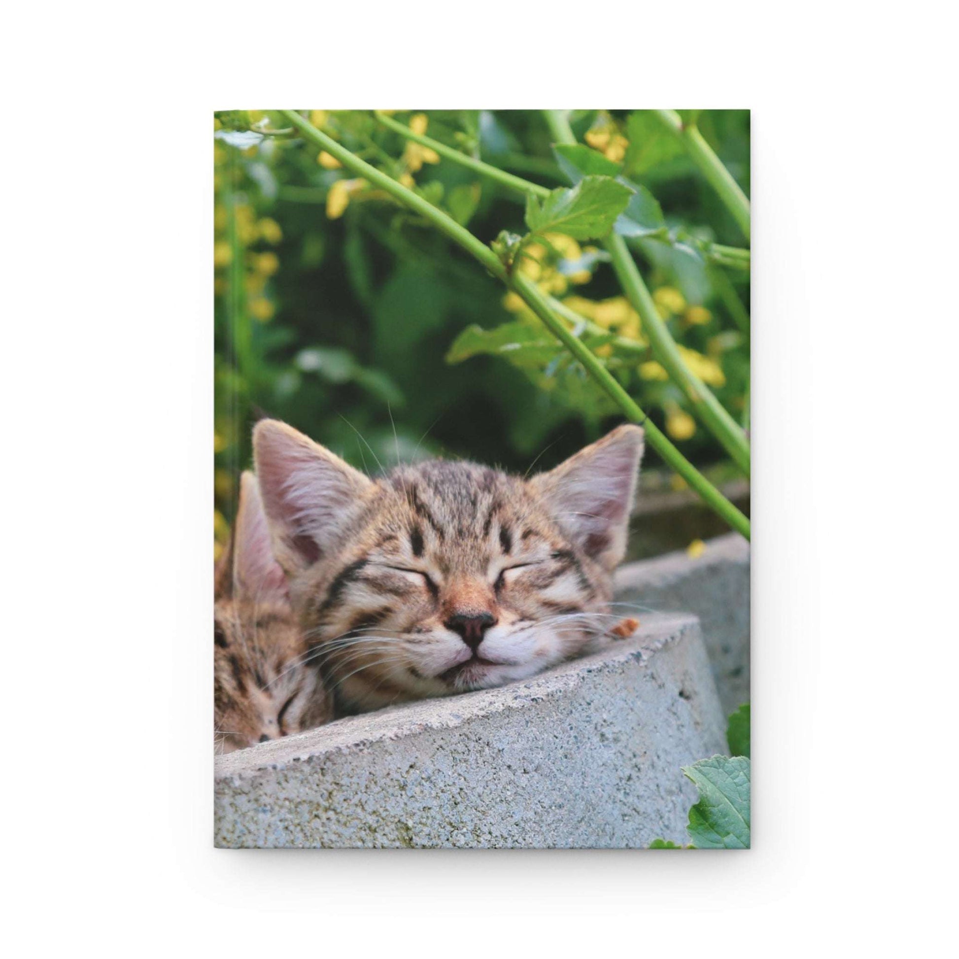 Cozy Cat Dreams Hardcover Journal - Perfect for Cat Lovers and Nature Enthusiasts